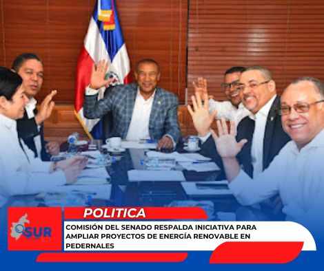 Comisión del Senado respalda iniciativa para ampliar proyectos de energía renovable en Pedernales