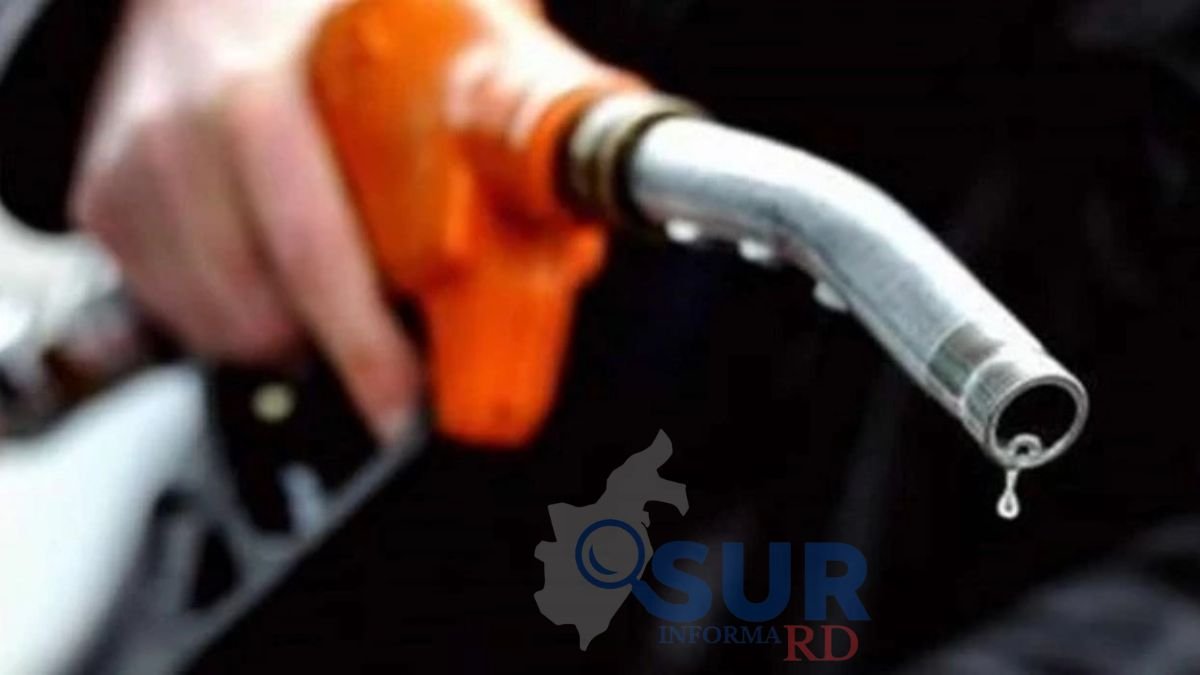 Precios de gasolinas y GLP se mantienen estables; aplican ligeros ajustes en otros derivados