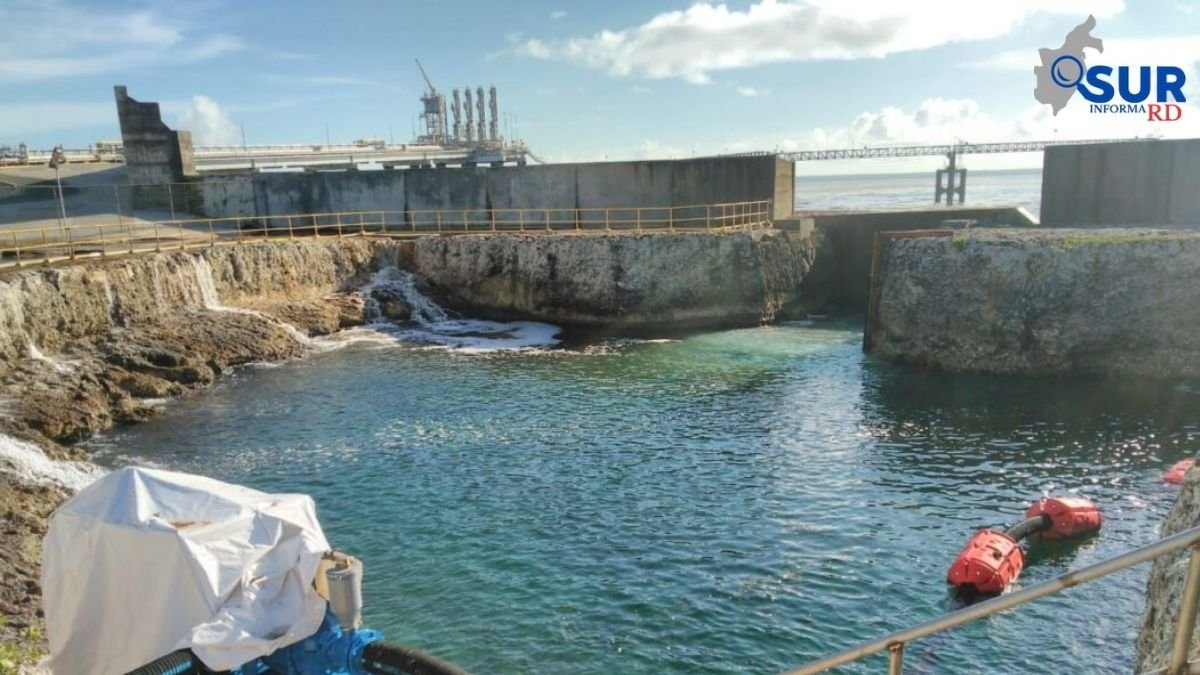 AES Andrés se reintegra al sistema eléctrico tras superar impacto del sargazo en Boca Chica