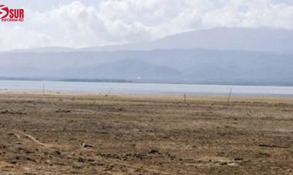 Medio Ambiente señala al Consorcio Azucarero Central como el principal responsable de la crisis en la laguna de Cabral