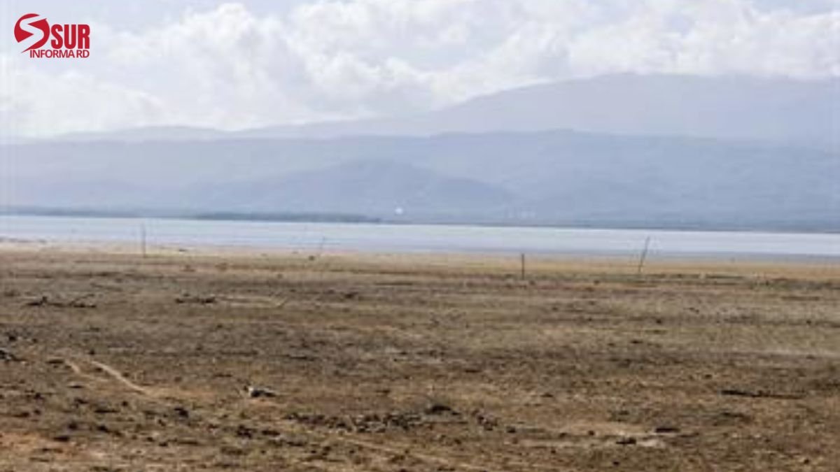 Medio Ambiente señala al Consorcio Azucarero Central como el principal responsable de la crisis en la laguna de Cabral
