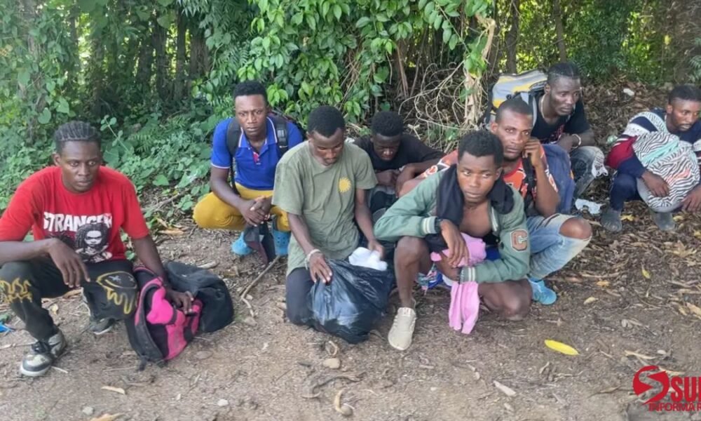 ERD captura ocho haitianos indocumentados escondidos en platanal de Valverde