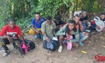 ERD captura ocho haitianos indocumentados escondidos en platanal de Valverde