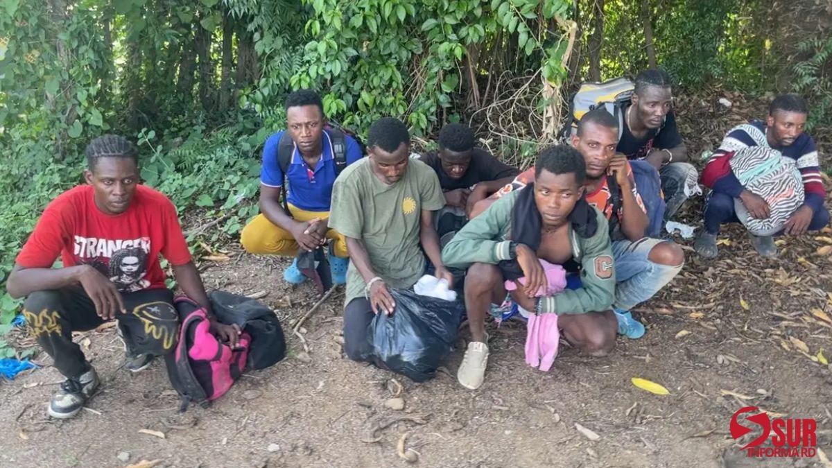 ERD captura ocho haitianos indocumentados escondidos en platanal de Valverde ERD captura ocho haitianos indocumentados escondidos en platanal de Valverde