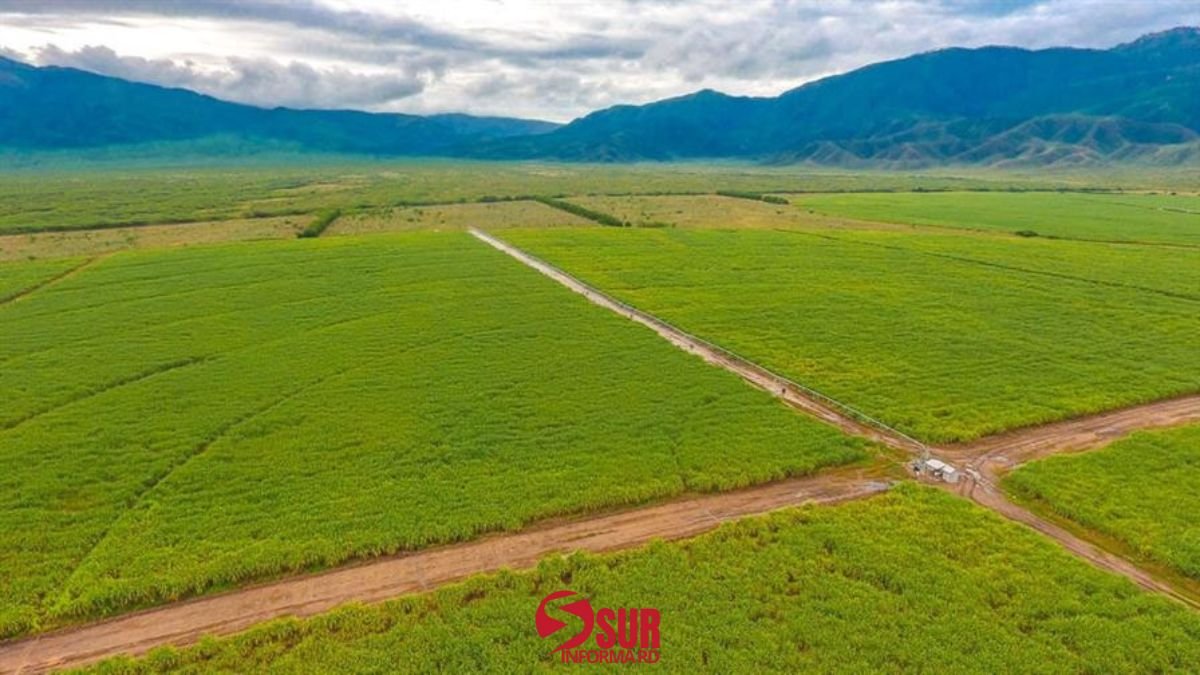 CAC asegura que sus operaciones no inciden en la disminución de la laguna de Cabral