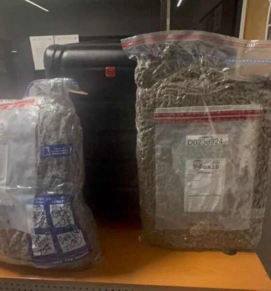 Marihuana en AILA